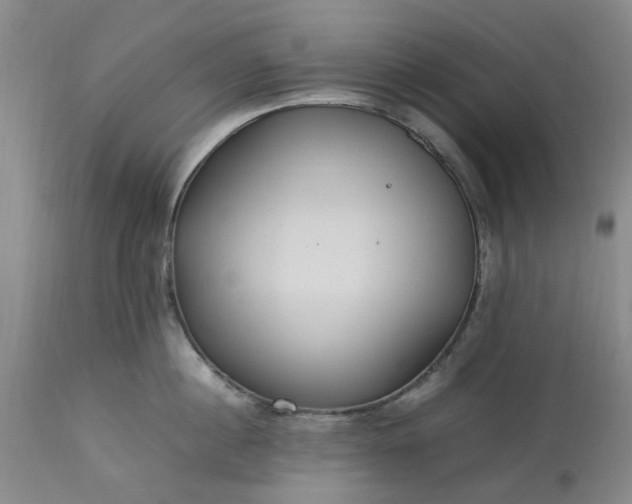 X0000113620860200910021826