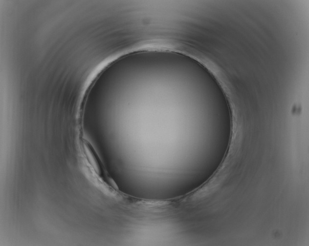 X0000113620864200910021826