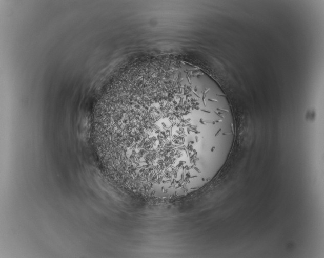 X0000113620866200910021825