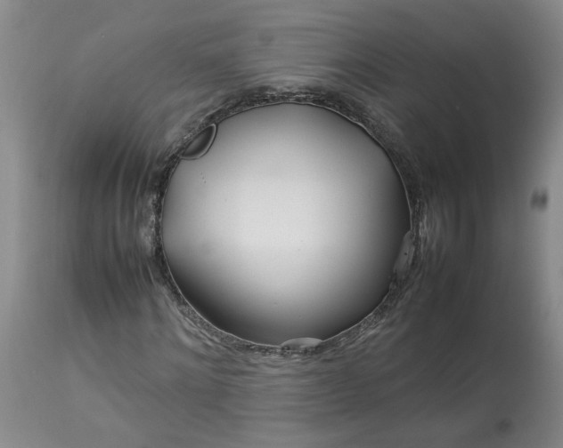 X0000113620868200910021825