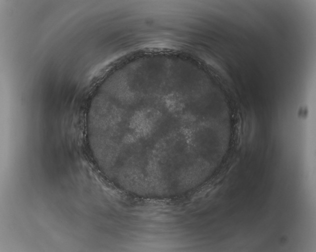 X0000113620870200910021825