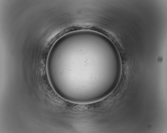 X0000113620871200910021825