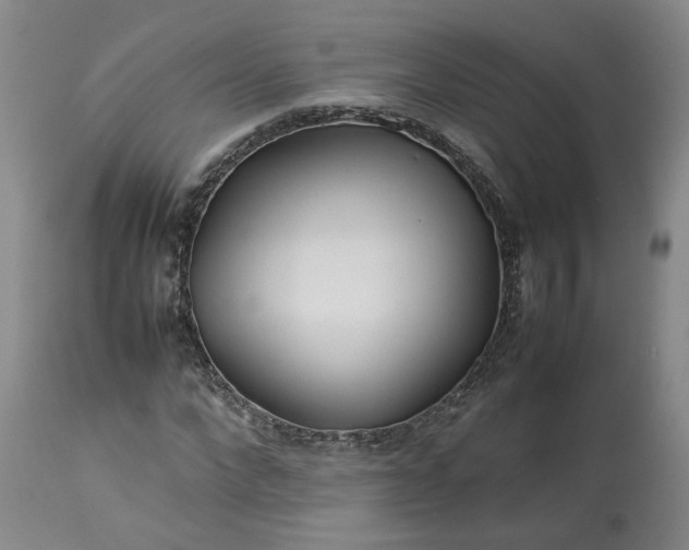 X0000113620872200910021825