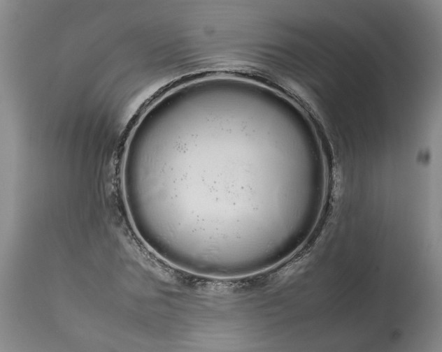 X0000113620875200910021825