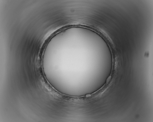 X0000113620876200910021825