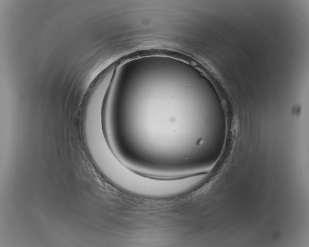 X0000113620877200910021825