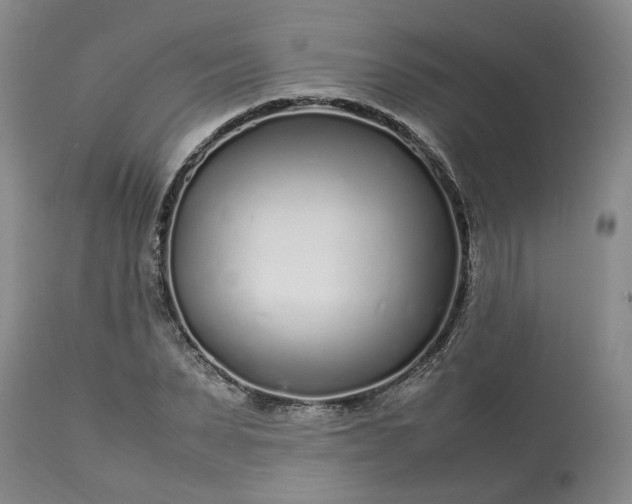 X0000113620879200910021825