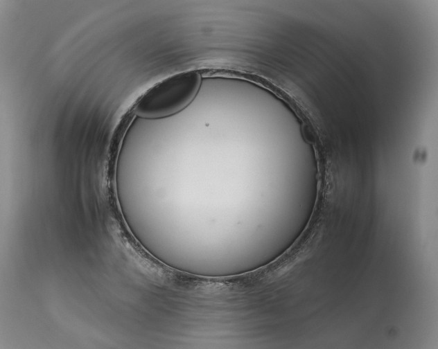 X0000113620880200910021825