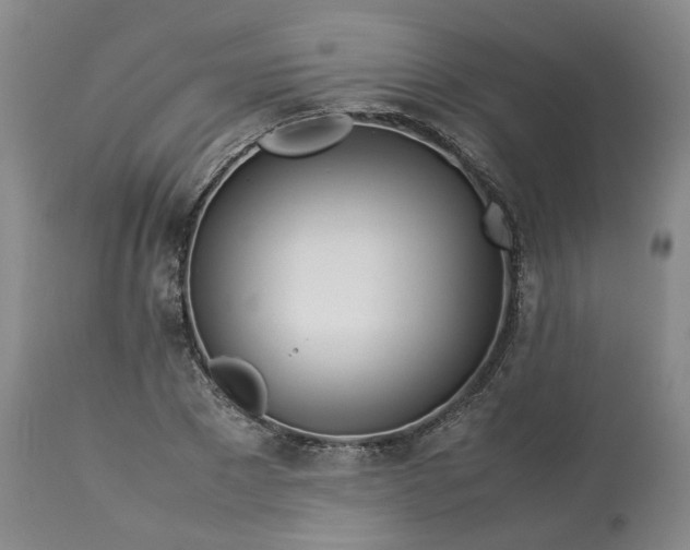 X0000113620881200910021825