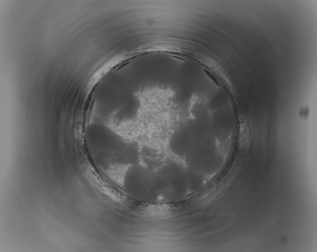 X0000113620882200910021825