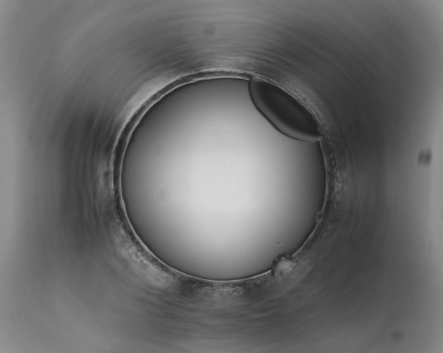 X0000113620884200910021825