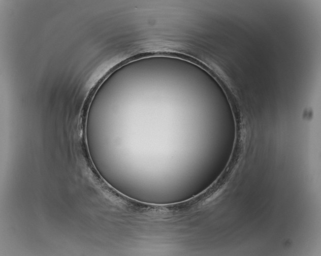 X0000113620885200910021825