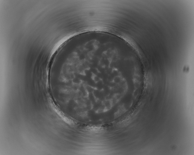 X0000113620886200910021825