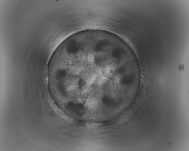 X0000113620887200910021825