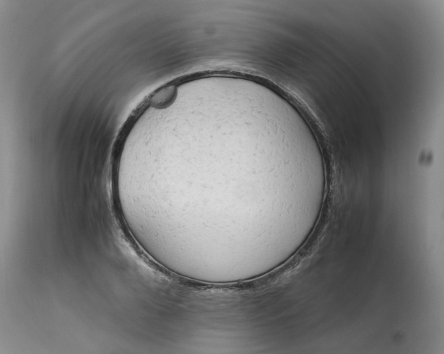 X0000113620888200910021825