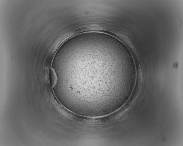 X0000113620889200910021825