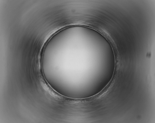 X0000113620892200910021825