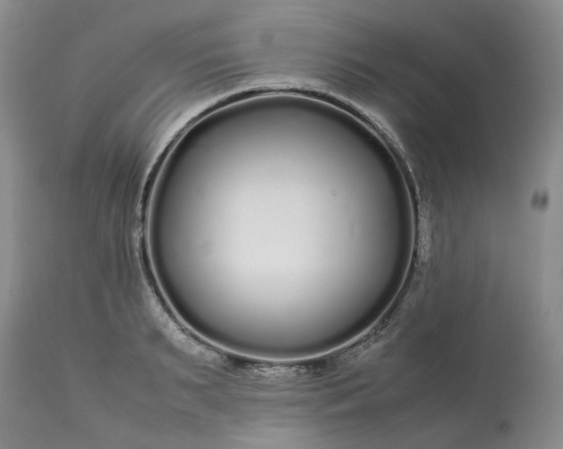 X0000113620895200910021825