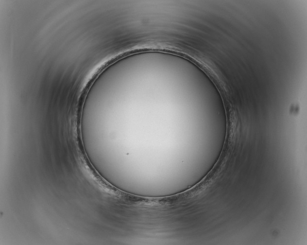 X0000113620896200910021825