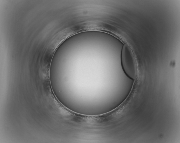 X0000113620897200910021825