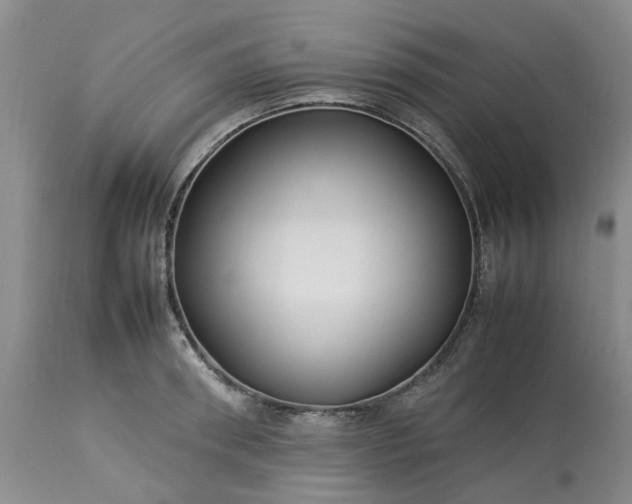 X0000113620898200910021825