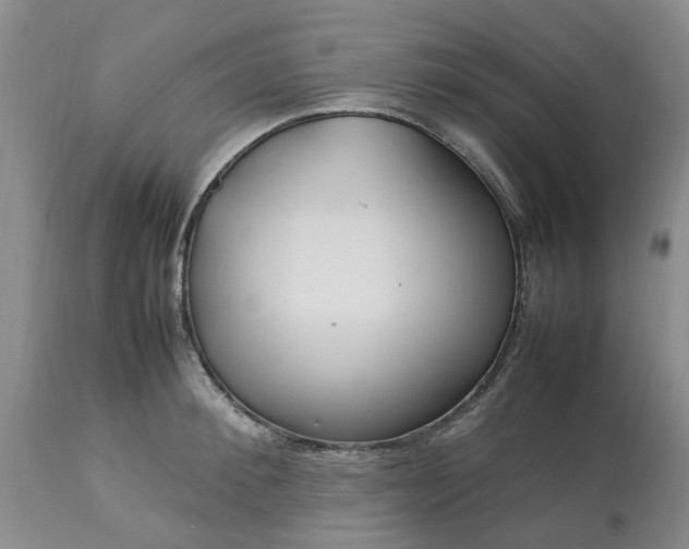 X0000113620900200910021825