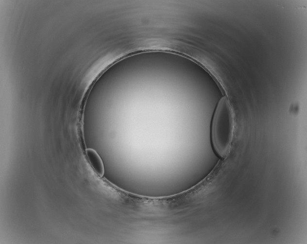 X0000113620901200910021825