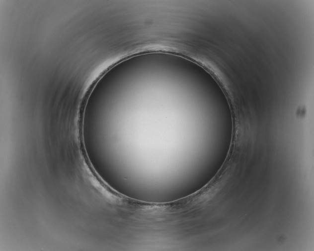 X0000113620902200910021825