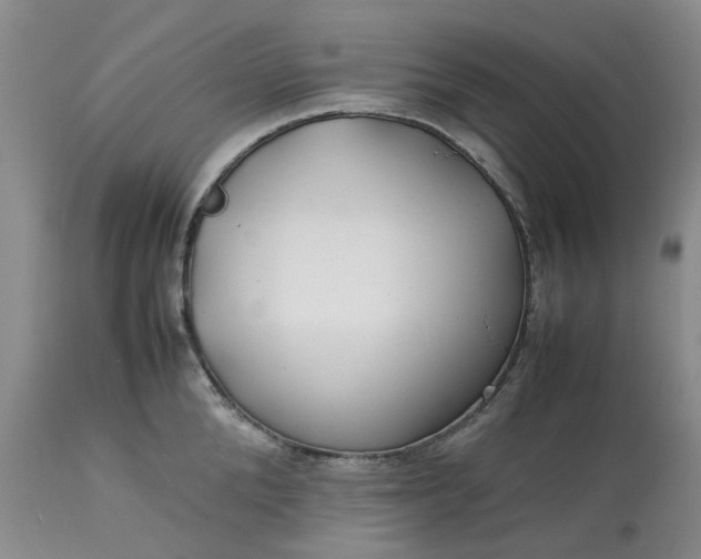 X0000113620904200910021825