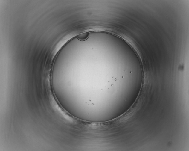 X0000113620906200910021825