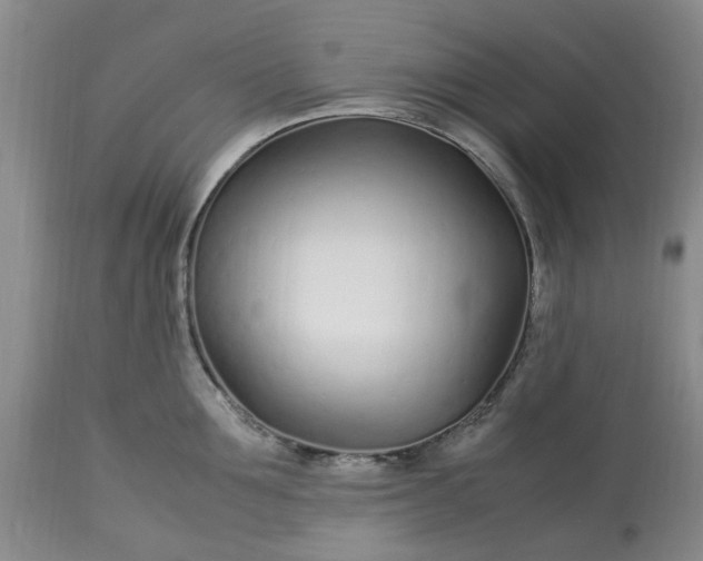 X0000113620907200910021825