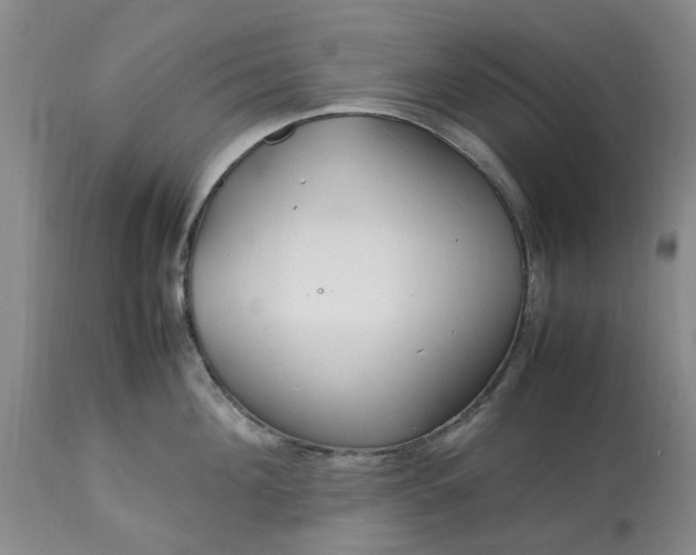 X0000113620908200910021825