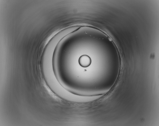 X0000113620909200910021825