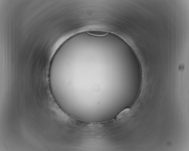 X0000113620912200910021824