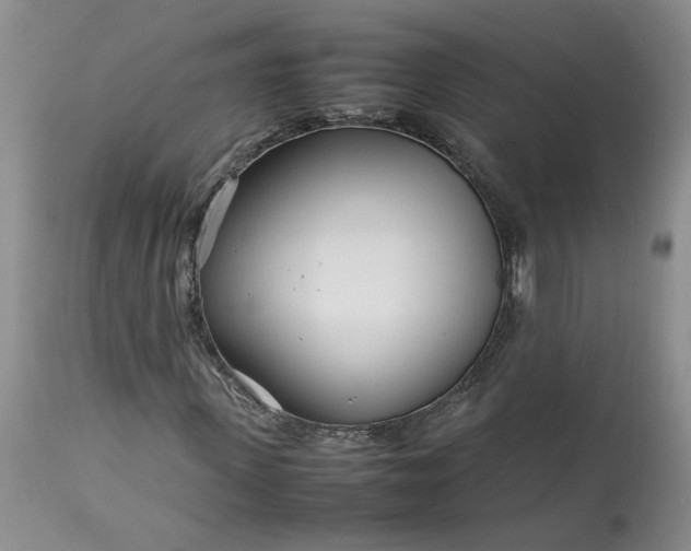 X0000113620915200910021824