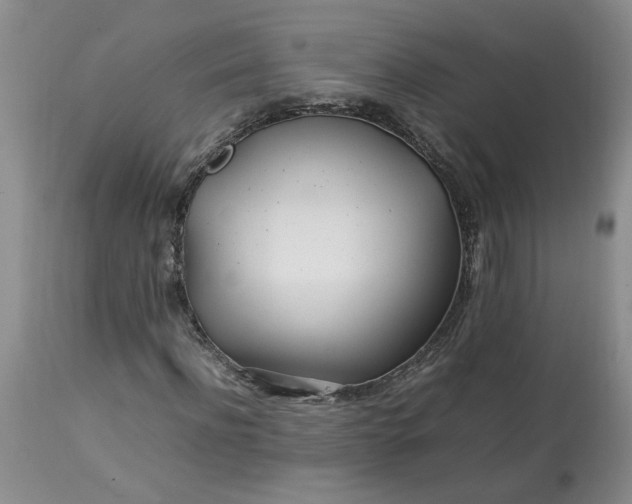 X0000113620916200910021824