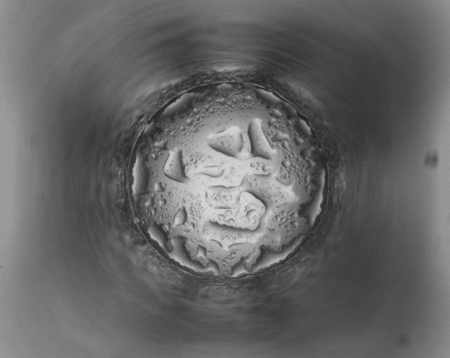 X0000113620917200910021824