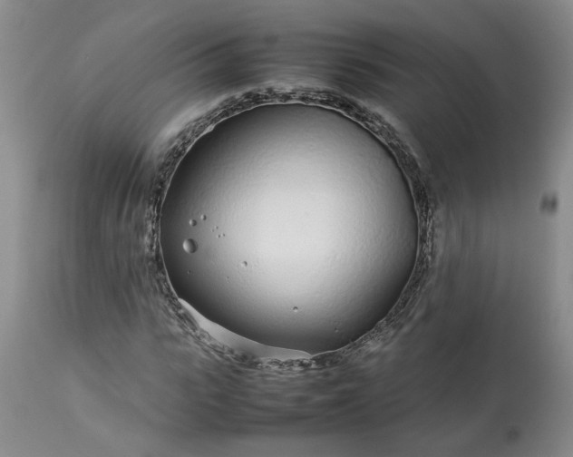 X0000113620919200910021824