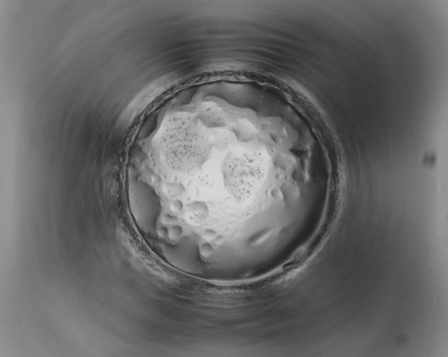 X0000113620921200910021824