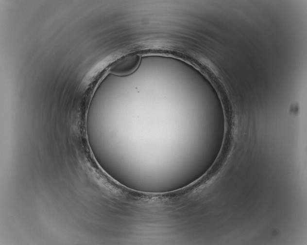 X0000113620922200910021824