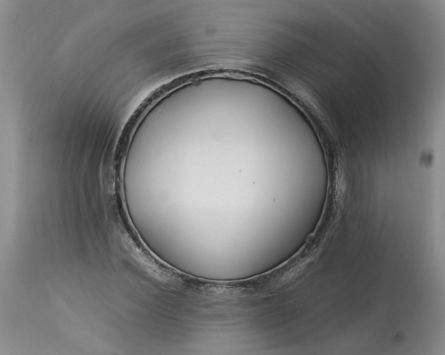 X0000113620924200910021824