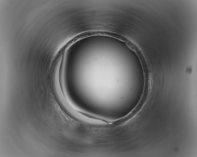 X0000113620925200910021824