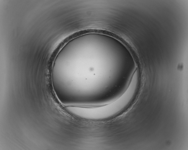 X0000113620926200910021824