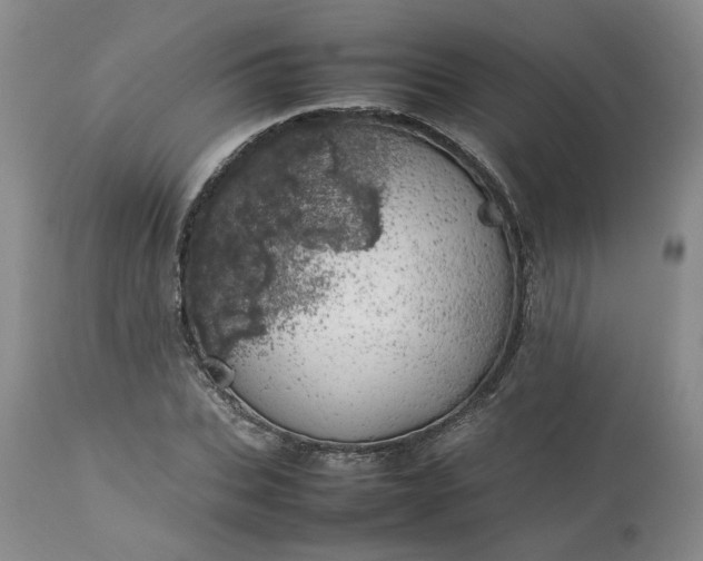 X0000113620927200910021824