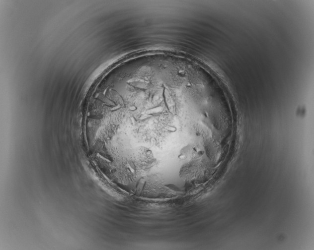 X0000113620933200910021824