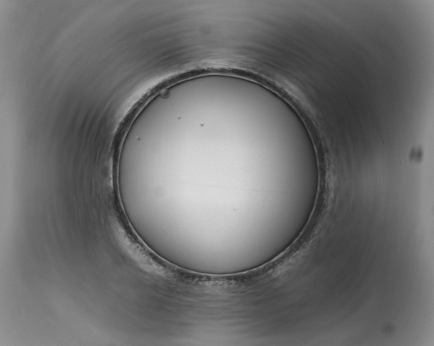 X0000113620934200910021824