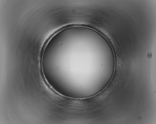 X0000113620935200910021824