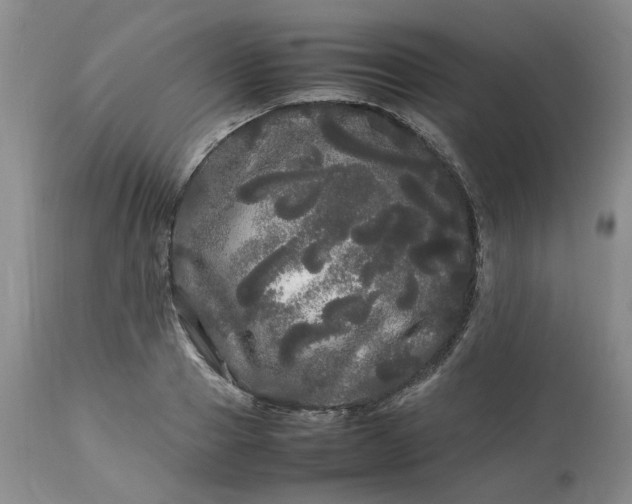 X0000113620937200910021824