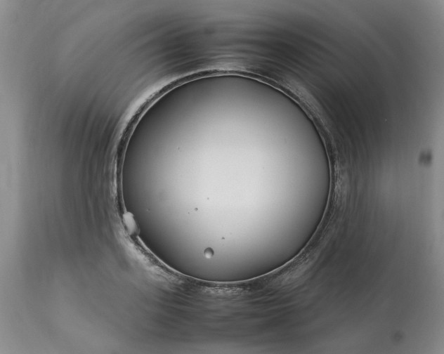 X0000113620939200910021824