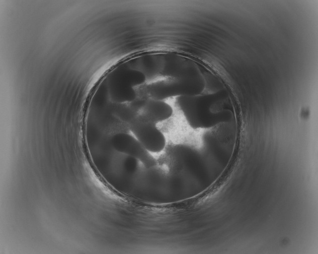 X0000113620941200910021824